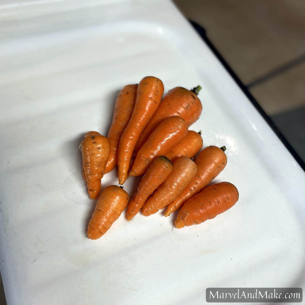 Carrots Whole Grain Carrot Cake recipe from Marvel & Make at marvelandmake.com