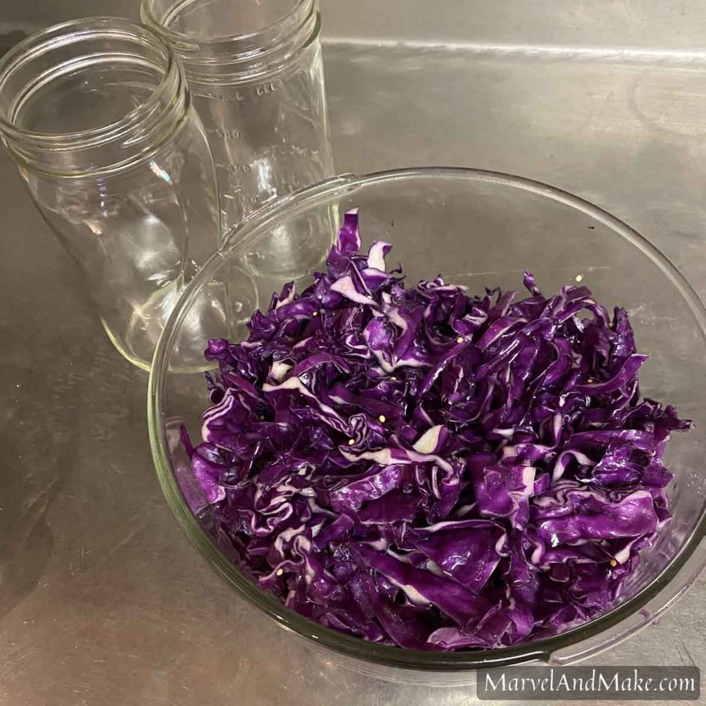 How to make Sauerkraut by Marvel & Make at marvelandmake.com