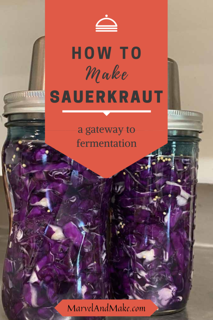 How to make Sauerkraut by Marvel & Make at marvelandmake.com