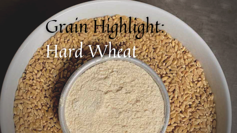 Hard Wheat Grain by Marvel & Make at marvelandmake.com