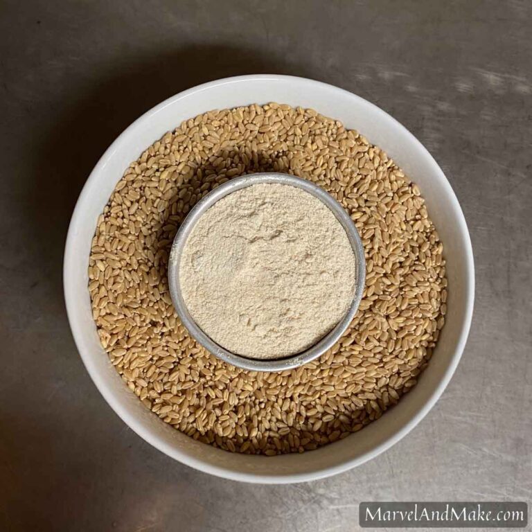 Grain Highlight Hard Wheat Marvel & Make