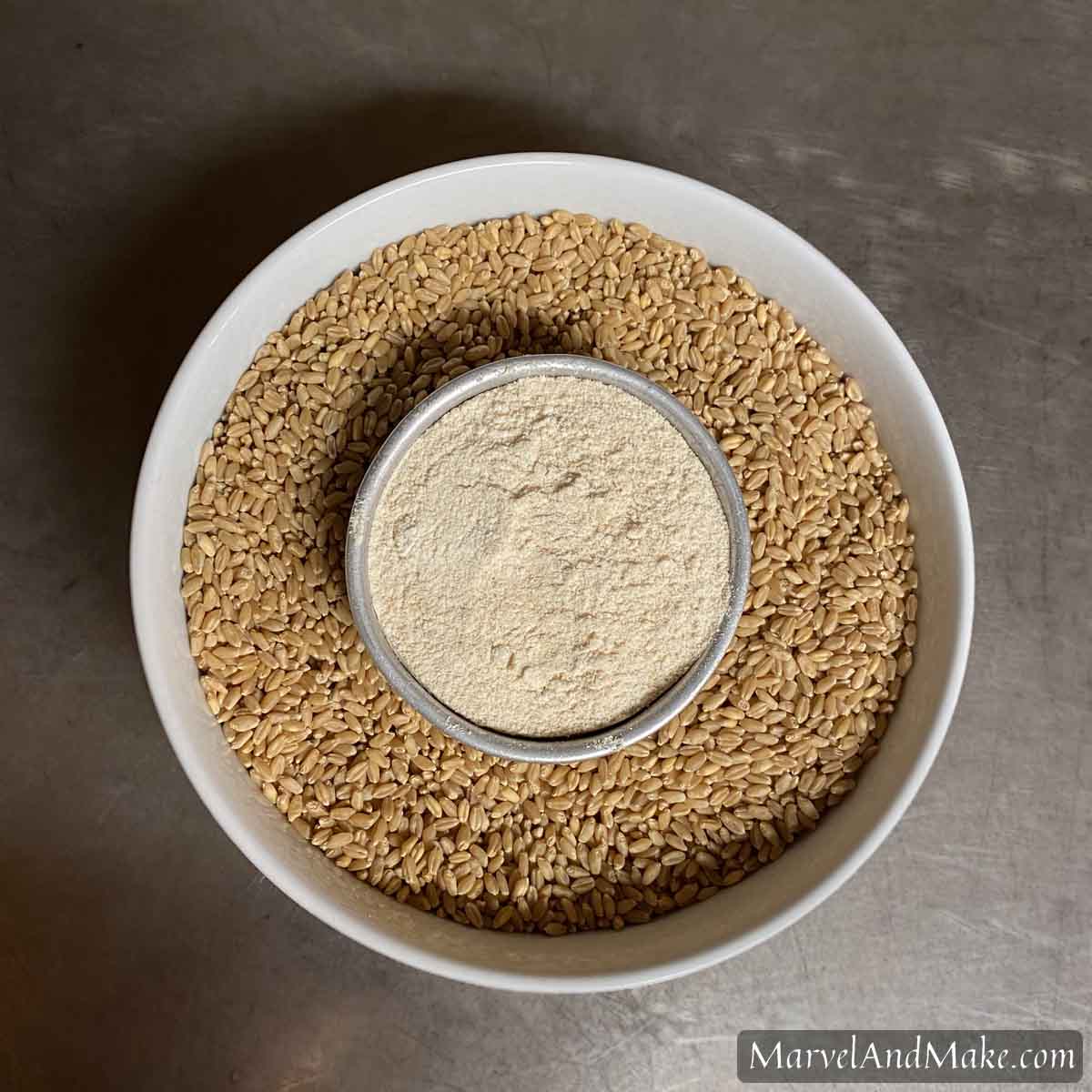 Grain Highlight Hard Wheat Marvel & Make