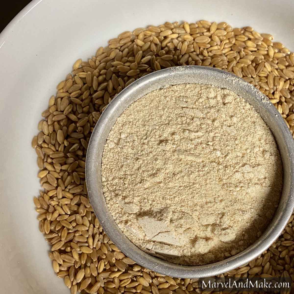 Grain Highlight Kamut® Marvel & Make