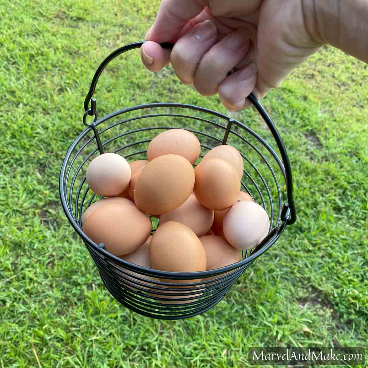 How to preserve raw eggs - water glassed eggs by Marvel & Make at marvelandmake.com