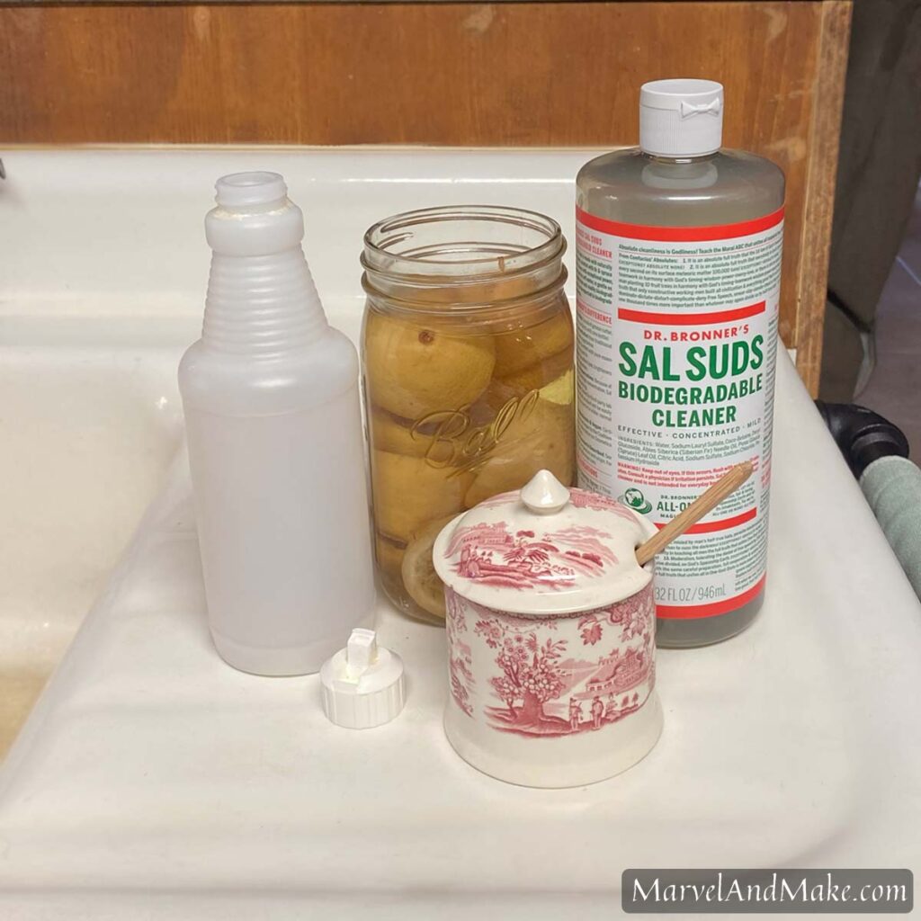 Easy Homemade Dish Soap Recipe  Made with Sal Suds - Lemons