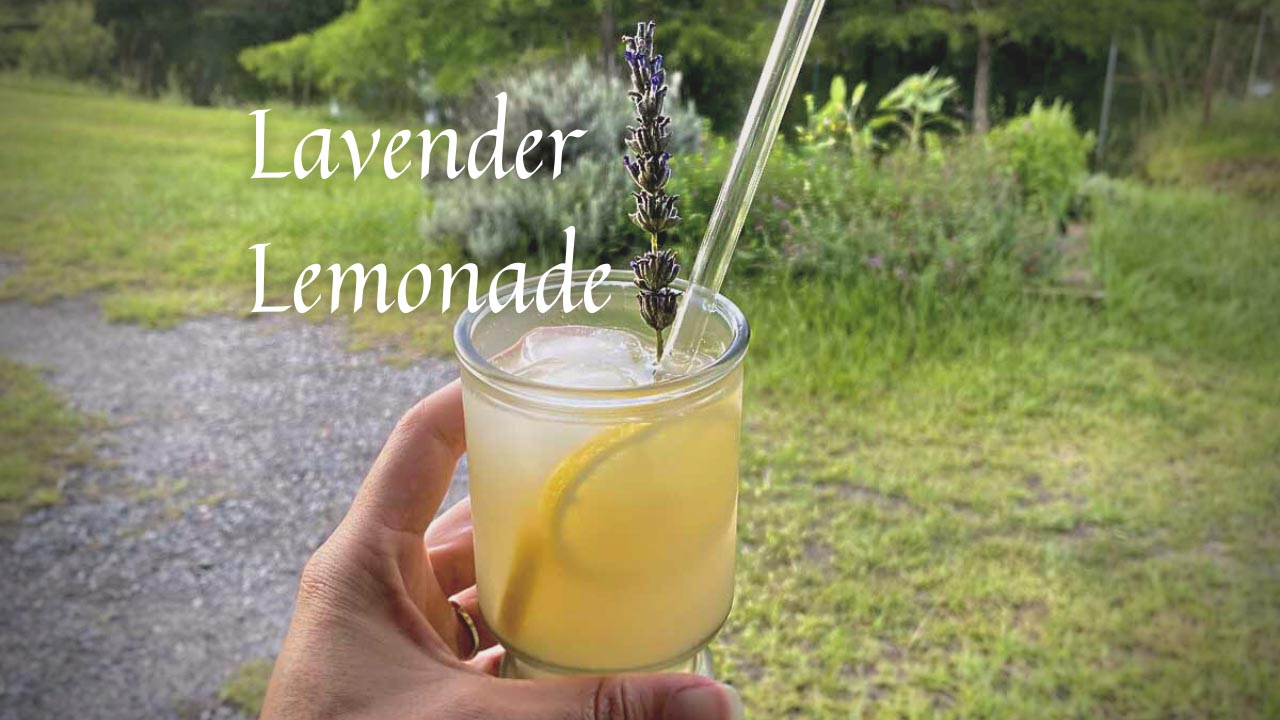 Lavender Lemonade from Marvel & Make at marvelandmake.com