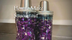 How to make Sauerkraut by Marvel & Make at marvelandmake.com