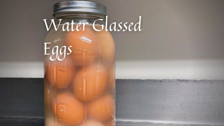 How to preserve raw eggs - water glassed eggs by Marvel & Make at marvelandmake.com